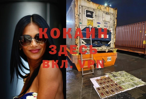 гидра Горнозаводск