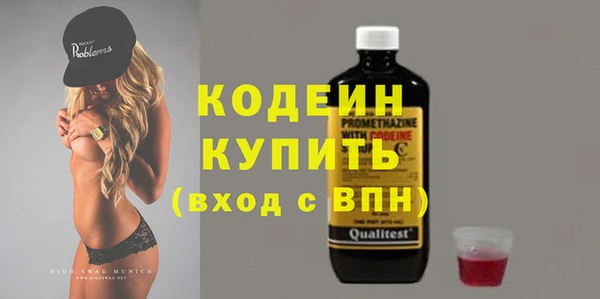 гидра Горнозаводск