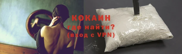 гидра Горнозаводск
