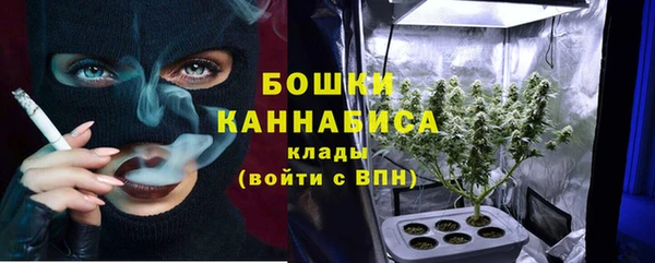 тгк Горно-Алтайск