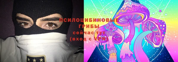 тгк Горно-Алтайск