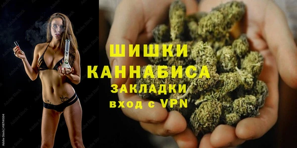 гидра Горнозаводск