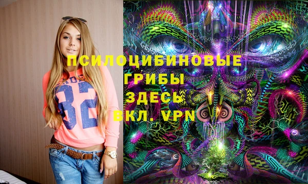 тгк Горно-Алтайск