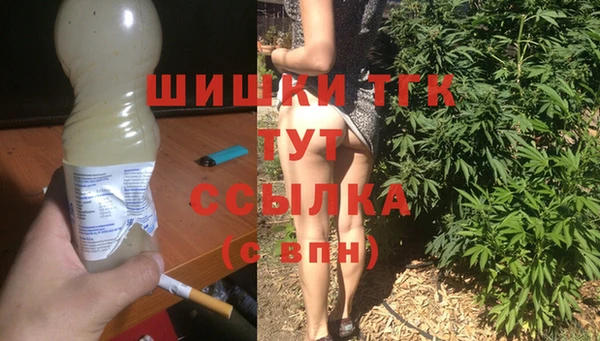 тгк Горно-Алтайск