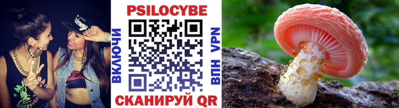 Галлюциногенные грибы MAGIC MUSHROOMS  Купить  Кохма 