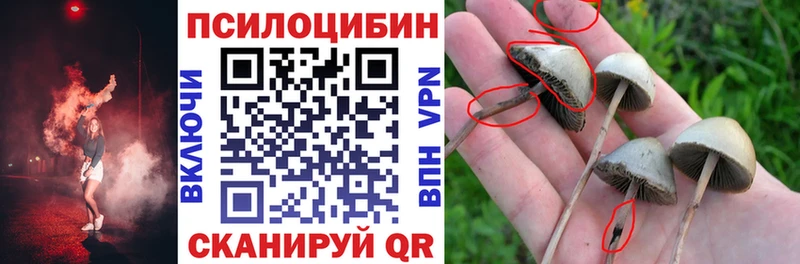 Псилоцибиновые грибы Psilocybine cubensis Кохма
